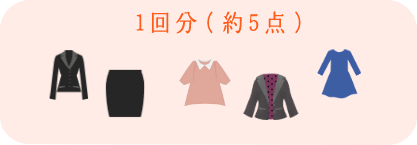 1回分（約5点）